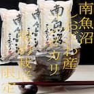 【発送月固定定期便】生産者限定 契約栽培 南魚沼しおざわ産コシヒカリ 精米15Kg全6回