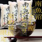 【発送月固定定期便】生産者限定 契約栽培 南魚沼しおざわ産コシヒカリ 精米15Kg全9回