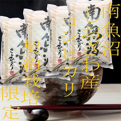 【発送月固定定期便】生産者限定 契約栽培 南魚沼しおざわ産コシヒカリ 精米20Kg全3回