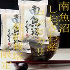 【発送月固定定期便】生産者限定 契約栽培 南魚沼しおざわ産コシヒカリ 精米4Kg全9回