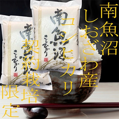【発送月固定定期便】生産者限定 契約栽培 南魚沼しおざわ産コシヒカリ 精米4Kg全9回