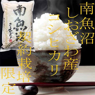 【発送月固定定期便】生産者限定 契約栽培 南魚沼しおざわ産コシヒカリ 精米5Kg全3回