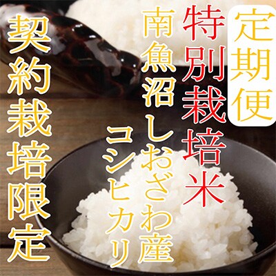 2023年3月発送開始『定期便』【特別栽培米4Kg】生産者限定  南魚沼しおざわ産コシヒカリ全3回