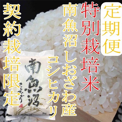 2023年3月発送開始『定期便』【特別栽培米4Kg】生産者限定  南魚沼しおざわ産コシヒカリ全6回
