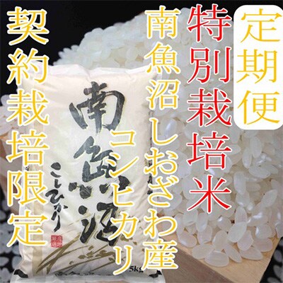 2023年3月発送開始『定期便』特別栽培米15Kg※生産者限定  南魚沼しおざわ産コシヒカリ全3回
