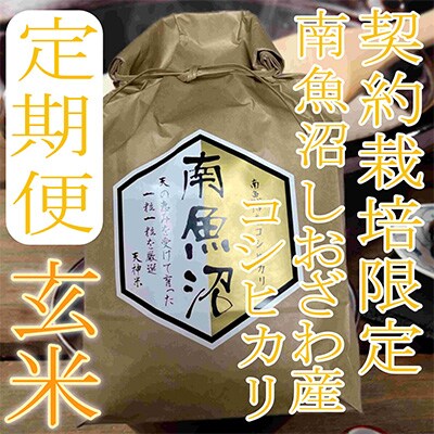 2023年10月発送開始『定期便』【玄米2Kg】生産者限定 南魚沼しおざわ産コシヒカリ全3回