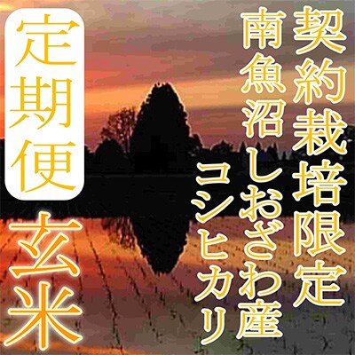 2023年10月発送開始『定期便』【玄米2Kg】生産者限定 南魚沼しおざわ産コシヒカリ全3回