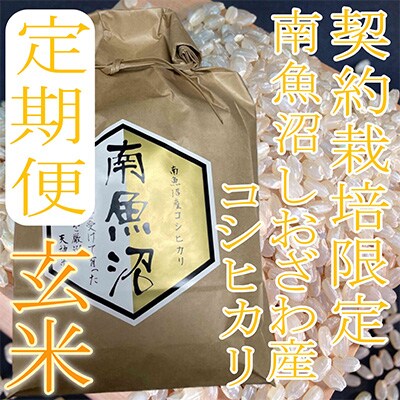2023年4月発送開始『定期便』【玄米5Kg】生産者限定  南魚沼しおざわ産コシヒカリ全12回