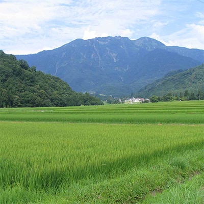 日本酒 八海山 大吟醸 45%精米 1800ml