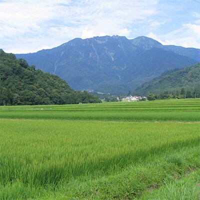 日本酒 八海山 純米大吟醸 45%精米 1800ml