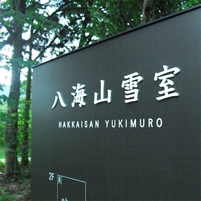 日本酒 八海山 純米大吟醸 雪室貯蔵3年 720ml×2本