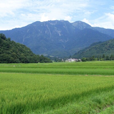 【数量限定】日本酒 八海山 特別純米原酒 1800ml