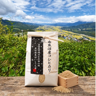 【令和8年産】生産者限定『南魚沼しおざわ産コシヒカリ』玄米10kg