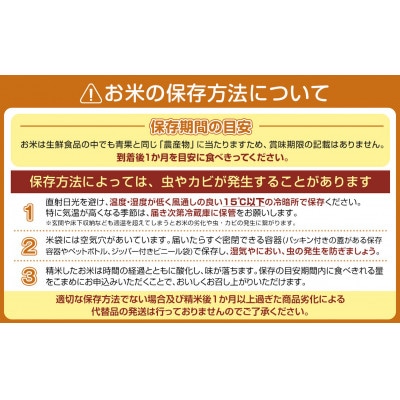 【令和8年産】生産者限定『南魚沼しおざわ産コシヒカリ』玄米10kg