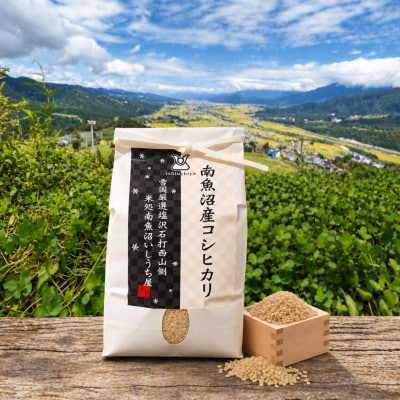 【令和8年産】生産者限定『南魚沼しおざわ産コシヒカリ』玄米30kg
