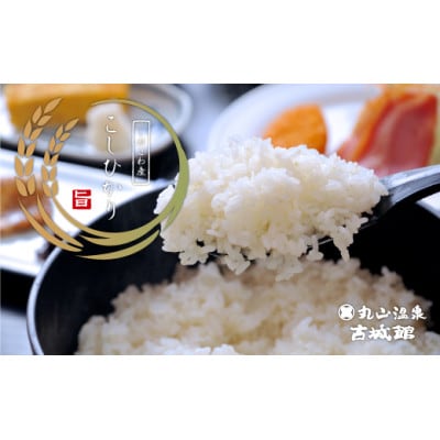 【令和8年産】生産者限定『南魚沼しおざわ産コシヒカリ』玄米30kg