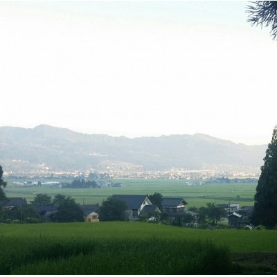 居田屋米itaya-mai 塩沢コシヒカリ(精米5kg)