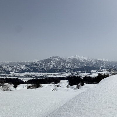 塩沢コシヒカリ【西山の天水田米】(精米5kg)