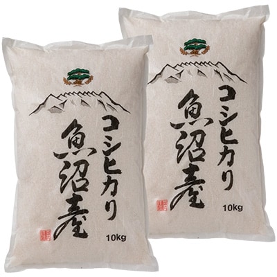  南魚沼産コシヒカリ無洗米　白米10kg×2袋【栽培期間農薬を減らして作ったお米】令和5年産　