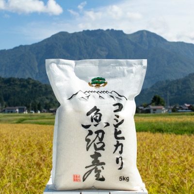 【発送月固定定期便】南魚沼産コシヒカリ 白米5kg【栽培期間中農薬を減らして作ったお米】全6回