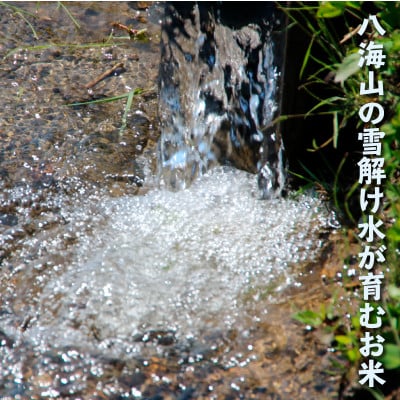 【毎月定期便】南魚沼産コシヒカリ 白米 5kg【栽培期間中農薬を減らして作ったお米】全6回