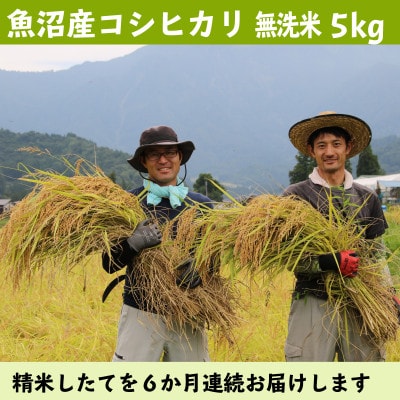 【毎月定期便】南魚沼産コシヒカリ 無洗米5kg【栽培期間中、農薬を減らして作ったお米】全6回