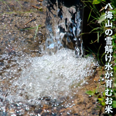 【毎月定期便】南魚沼産コシヒカリ 無洗米5kg【栽培期間中、農薬を減らして作ったお米】全6回