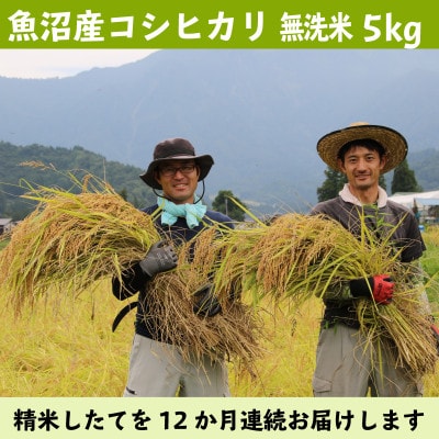 【毎月定期便】南魚沼産コシヒカリ 無洗米5kg【栽培期間中、農薬を減らして作ったお米】全12回