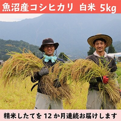 2022年5月発送開始『定期便』 南魚沼産コシヒカリ　白米5kg 　全12回
