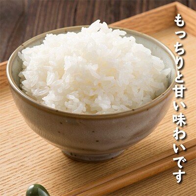 2022年9月発送開始『定期便』 南魚沼産コシヒカリ　無洗米5kg 　全6回