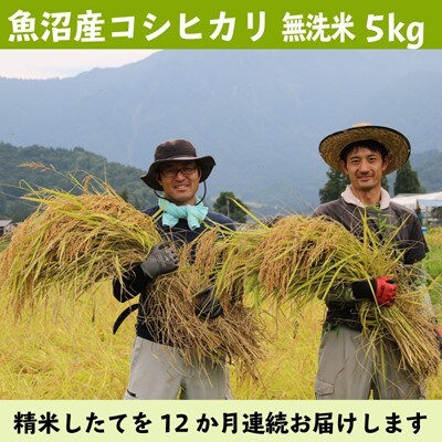 2023年6月発送開始『定期便』栽培期間農薬を減らして作った南魚沼コシヒカリ　無洗米5kg全12回