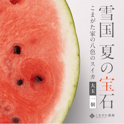 【2025年7月下旬発送予定】高級南魚沼八色産スイカ「こまがた家の八色のスイカ」プレミアム大玉 1玉