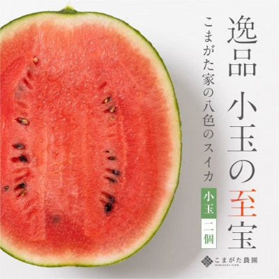 【2025年7月中旬発送予定】高級南魚沼八色産スイカ「こまがた家の八色のスイカ」小玉2個