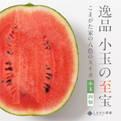 【2025年7月中旬発送予定】高級南魚沼八色産スイカ「こまがた家の八色のスイカ」小玉4個