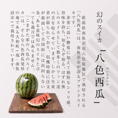 【2025年7月中旬発送予定】高級南魚沼八色産スイカ「こまがた家の八色のスイカ」小玉4個