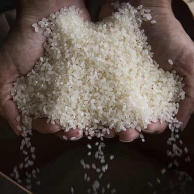 【R7年産新米予約】4kg(2kg×2袋) 最高金賞受賞　南魚沼産コシヒカリ「こまがた家のお米」