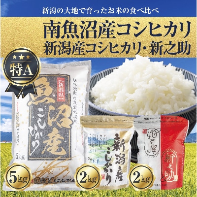 新潟県南魚沼産コシヒカリ5kg&新潟産こしひかり2kg&新潟県産新之助2kg 計9kg食べ比べセット