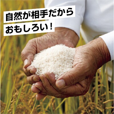 新潟県南魚沼産コシヒカリ5kg&新潟産こしひかり2kg&新潟県産新之助2kg 計9kg食べ比べセット