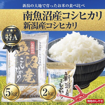 【2023年4月下旬発送】【無地熨斗】南魚沼産コシヒカリ5kg&新潟産こしひかり 2kg 計7kg