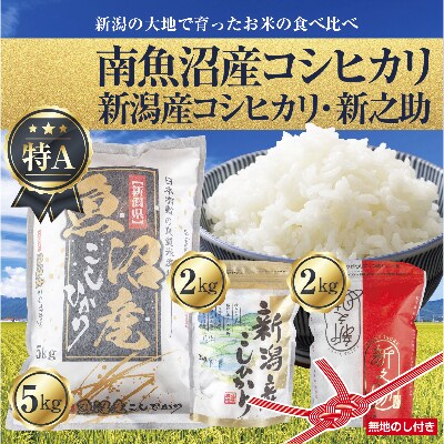 【2023年3月上旬発送】【無地熨斗】南魚沼産コシヒカリ5kg&こしひかり2kg&新之助2kg