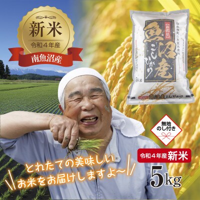 無地のし  南 魚沼産 コシヒカリ 5kg (お米の美味しい炊き方ガイド付き)