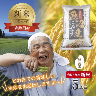 無洗米  南 魚沼産 コシヒカリ 5kg (お米の美味しい炊き方ガイド付き)