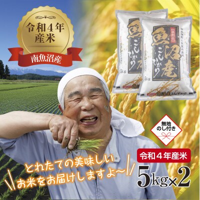 【のし付き】令和4年産 南魚沼産 コシヒカリ 10kg(お米の美味しい炊き方ガイド付き)