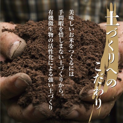 【のし付き】令和4年産 南魚沼産 コシヒカリ 10kg(お米の美味しい炊き方ガイド付き)