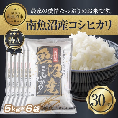 もうすぐ値上げ！【令和2年度】白米30kg （5kg×6）長野県産コシヒカリ