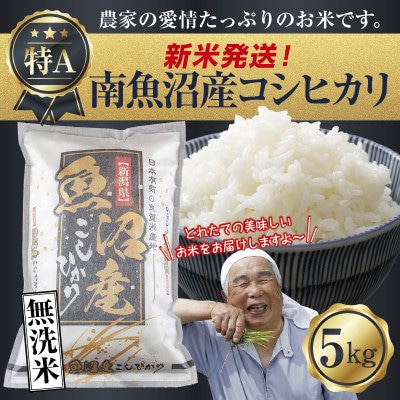 無洗米 令和7年産 南魚沼産 コシヒカリ 5kg (美味しいお米の炊き方ガイド付)