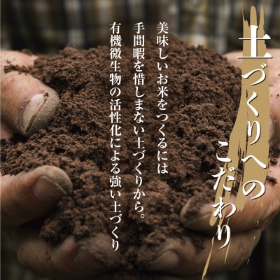 無洗米 令和7年産 南魚沼産 コシヒカリ 5kg (美味しいお米の炊き方ガイド付)