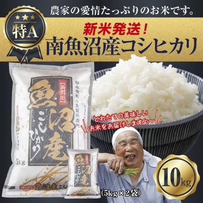 令和7年産 新潟県 南魚沼産 コシヒカリ 10kg (美味しいお米の炊き方ガイド付き)