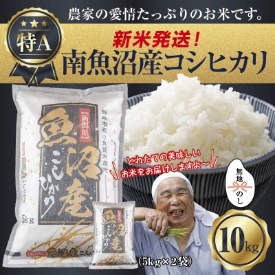 無地のし 令和7年産 南魚沼産 コシヒカリ 10kg (美味しいお米の炊き方ガイド付)