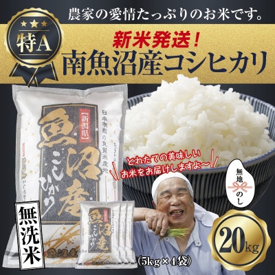 【無地のし】無洗米 令和7年産 南魚沼産 コシヒカリ 20kg (お米の炊き方ガイド付)